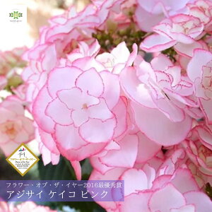 2026 ̓ AWTC A PCR sN 5  z  ̓ ̓Mtg ŗDG _u  