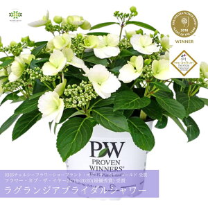 2026 ̓ AWTC A OWA uC_V[ 5  z  JԊ ŗDG܎  ̓ ̓Mtg v[g