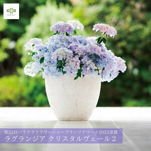 2026 ̓ AWTC A OWA NX^F[2 5  z  ̓ ̓Mtg Mtg v[g Vi  