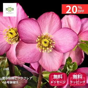 y12/4 20:00`23:59!!X^[g_bVN[|z NX}X[Y ̗d Vi sNtA 4.5  JԊ ԕt A  Ԕ  p Mtg v[g 蕨 