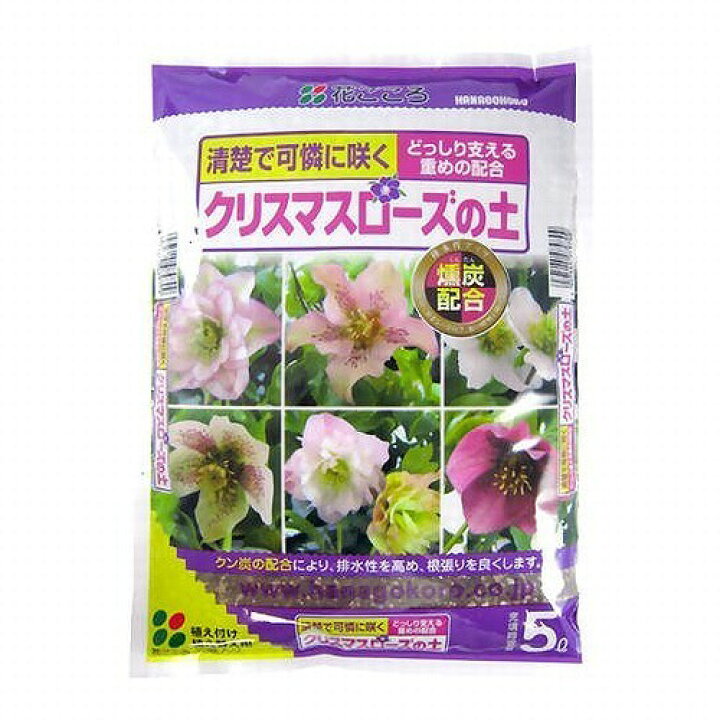 楽天市場 クリスマスローズの土 5l 花ごころ 簡単で美しく 土 クリスマスローズ 培養土 苗 ニゲル 開花 通販 花苗 氷の薔薇 鉢 鉢植え 植え替え 開花株 ローズ 種 庭 ガーデニング 園芸 土日祝営業 フラワーギフトのマスダグリーン