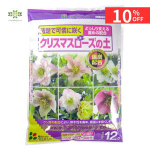 y12/4 20:00`23:59!!X^[g_bVN[|z  NX}X[Y̓y 48L (12L×4) Ԃ ȒPŔ y NX}X[Y |{y c jQ J ʔ ԕc XKN  