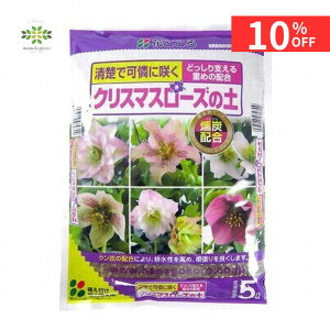 y12/4 20:00`23:59!!X^[g_bVN[|z NX}X[Y̓y 5L Ԃ ȒPŔ y NX}X[Y |{y c jQ J ʔ ԕc XKN  A Aւ J