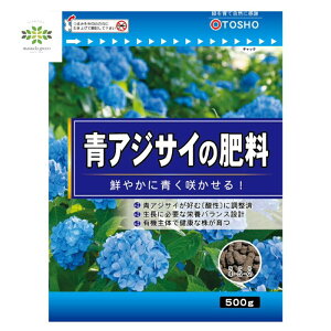 AWTC̔엿 500g  AWTC 엿 z  _ A~jECI F L@