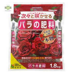 o̔엿 1.8kg Ԃ 엿 o KN L@ L@엿   c oc A S K[fjO |