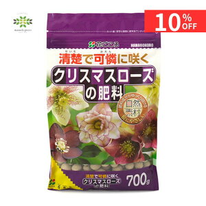 y12/4 20:00`23:59!!X^[g_bVN[|z NX}X[Y̔엿 700g Ԃ ȒPŔ 엿 NX}X[Y L@ c jQ J ʔ ԕc XKN  A Aւ 