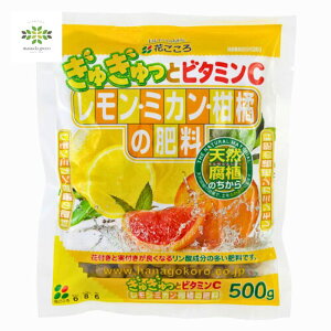 E~JEk̔엿 500g Ԃ ガƃr^~C 엿 ʎ | K[fjO