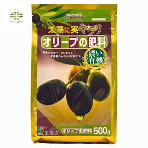 I[u̔엿 500g Ԃ 엿 y L@ ʔ c  A Aւ   K[fjO | ͔|
