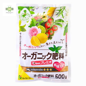 I[KjbN엿 500g Ԃv~I Ԃ I[KjbN y 엿 ԕc  ʎ Ԗ | K[fjO