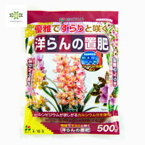 m̒u 500g Ԃ m m Ӓ 엿 ͂ L@ J ʔ ԕc c  A Aւ JԊ   K[fjO |  S