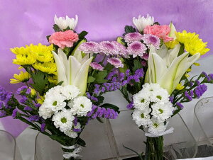 pԑ1΁i^eC{mԁjdpEpbbsOȂbYn̐