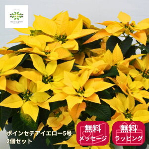 |CZ`A A K^Ă F 5 2Zbg  CG[n NX}X CG[NX JS bsO   NX}XMtg v[g a LO j 