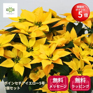 yBLACK FRIDAY |Cg5{z |CZ`A A K^Ă F 5 2Zbg  CG[n NX}X CG[NX JS bsO   NX}XMtg v