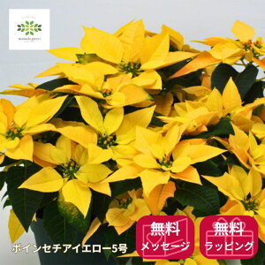 |CZ`A A K^Ă F 5  CG[n NX}X CG[NX JS bsO   K K NX}XMtg v[g a LO j 