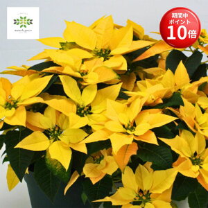 y}\ |Cg10{z |CZ`A A K^Ă F 5  CG[n NX}X CG[NX JS bsO   K K NX}X