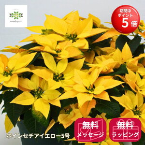 yBLACK FRIDAY |Cg5{z |CZ`A A K^Ă F 5  CG[n NX}X CG[NX JS bsO   K K NX}XMtg v