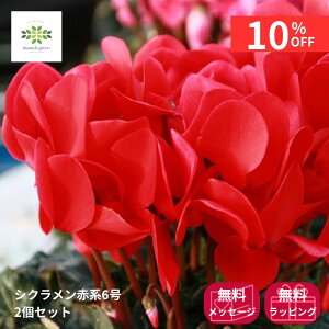 y12/4 20:00`23:59!!X^[g_bVN[|z VN A Ԍn 6 2Zbg  Ԕ     p p Mtg v[g Mtg t[Mtg