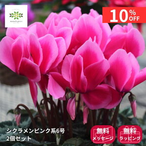 y12/4 20:00`23:59!!X^[g_bVN[|z VN A sNn 6 2Zbg  Ԕ    {[Ղ p v[g Mtg t[Mtg a