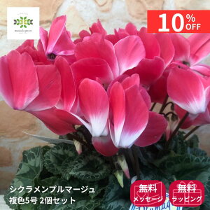 y12/4 20:00`23:59!!X^[g_bVN[|z VN A v}[W F 5 2Zbg   Ԕ    Mtg v[g