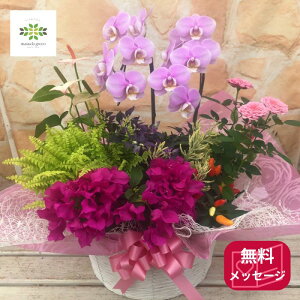 ~fBӒƋG߂̂Ԃg 񂹔 t[AWg JS  R`E   hV̓   c v[g Mtg t[Mtg p 蕨