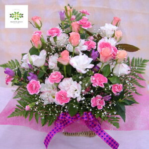  AWg ؂₩ȃsNn̐Ԃg XIWĩAWg  p p v[g 蕨 Mtg t[Mtg ؉