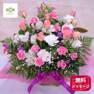  AWg ؂₩ȃsNn̐Ԃg XIWĩAWg  p p v[g 蕨 Mtg t[Mtg ؉