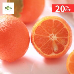 y12/4 20:00`23:59!!X^[g_bVN[|z ʎc ԃ c 4.5 O|bg  ʎ c EG   Ȃ K[fjOp ƒ؉ ƍ͔| p v