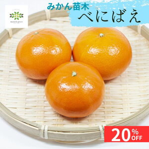 y12/4 20:00`23:59!!X^[g_bVN[|z ݂ c ׂɂ΂ 4.5 O|bg  ʎc k  ~J ݂̖ ϓx15x ƒ؉ p Mtg v[