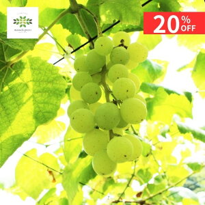 y12/4 20:00`23:59!!X^[g_bVN[|z 햳Ԃǂ qbg c 2N 5 O|bg  ʎc c V[hX Ȃ A A ʎ Ԃǂc uhE  gra