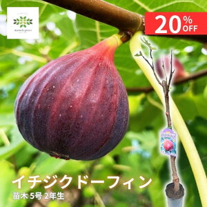 y12/4 20:00`23:59!!X^[g_bVN[|z C`WN c h[tB 2N 5 c ʎ ʎc  ԉ h[tB ʕ  ʎ K[fjO ƒ؉ S p