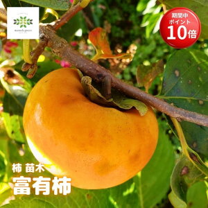 y}\ |Cg10{z ` c xL` 4.5 O|bg 10  ʎc xL ӂ䂤 Ê` JL  Ö Ă₷ A  ƒ؉ Ϗ ϊ 