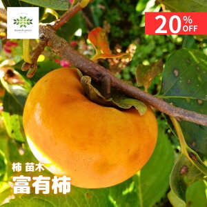 y12/4 20:00`23:59!!X^[g_bVN[|z ` c xL` 4.5 O|bg  ʎc xL ӂ䂤 Ê` JL  Ö Ă₷ A  ƒ؉ Ϗ ϊ 