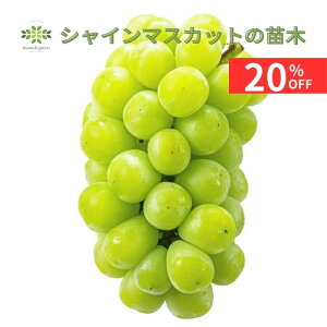 y12/4 20:00`23:59!!X^[g_bVN[|z Ԃǂc VC}XJbg 5 O|bg  ʎc VC}XJbgc c p Mtg p v[g 蕨