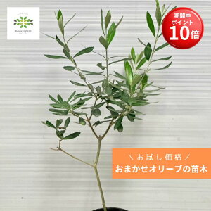 y}\ |Cg10{z  I[u c ܂ 3.5 |bg I[u̖ I[u̕c ʎc ʎ c A nA  Ԓd  V{c[  p 