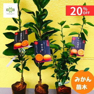 y12/4 20:00`23:59!!X^[g_bVN[|z ݂ c 3Zbg [ Ƃ / ̂Ђ /ׂɂ΂ ] 4.5 O|bg  ʎc ~J  k ƍ͔| ƒ؉ 