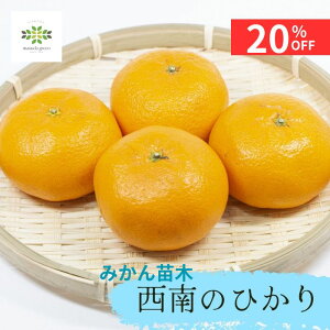 y12/4 20:00`23:59!!X^[g_bVN[|z 󏭕iI݂ c ̂Ђ 4.5 O|bg  ʎc k  ~J ݂̖ x13x ƒ؉ p Mtg