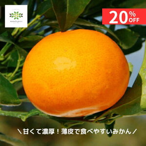 y12/4 20:00`23:59!!X^[g_bVN[|z 󏭕iI݂ c Ƃ 4.5 O|bg  ʎc k  ~J ݂̖ ƒ؉ p Mtg v[g 