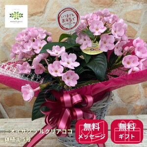 jICUN NA A 5 hV̓t[Mtg  JSt oXPbgt {  ɂ jIC v[g t[Mtg 蕨   sN F  j