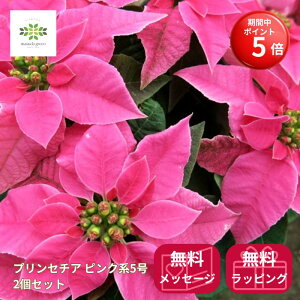 yBLACK FRIDAY |Cg5{z vZ`A A 2Zbg 5 zbgsN [WȂ  |CZ`A Vi   NX}XMtg t[Mtg a LO 