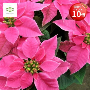 y}\ |Cg10{z vZ`A A 2Zbg 5 zbgsN [WȂ  |CZ`A Vi   NX}XMtg t[Mtg a 