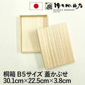 c˔X ˔ B5TCY W Ԃ W30.1cm×D22.5cm×H3.8cm ` ؔ ؐ {  [ vi ۊ [ [{bNX t^t َq ANZT[ v