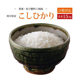 令和5年産【本州・四国　送料無料】選べる分搗きこだわり栽培【精米無料】2023年産　岐阜県産特別栽培米　こしひかり玄米　15kg [5kg×3袋]【楽ギフ_のし】【あす楽_土曜営業】