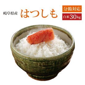 新米！【令和5年産】【本州・四国　送料無料】2023年産　岐阜県産れんげの里のお米 美濃 ハツシモ 白米　30kg　[5kg×6袋]選べる分搗き【楽ギフ_のし】【あす楽_土曜営業】