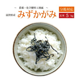 新米！【令和5年産】【特別栽培米】【本州・四国　送料無料】滋賀県認証環境こだわり米【2023年産】滋賀県産特別栽培米みずかがみ玄米　5kg [5kg×1袋]選べる分搗き