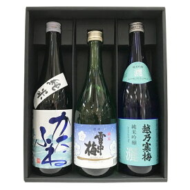 雪中梅純米・越乃寒梅灑純米吟醸・かたふね純米 720ml 3本セット G002 【日本酒 新潟 地酒 ギフト 御中元 お中元 御歳暮 お歳暮 父の日 母の日 贈り物 酒 】