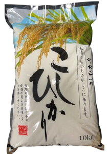 V VYRVqJ  10kg ߘa7NY ă}CX^[I