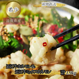 食肉センター直送 近江牛 ホルモン & ミックスホルモン 計1.9kg 数量限定 ホルモンセット 希少部位 父の日 ギフト ホルモンミックス 国産 牛肉 牛ホルモンミックス 小腸 フワ チレ 大腸 ギアラ アカセン 焼肉ホルモン もつ鍋用もつ モツ煮込み お肉父の日 プロトン冷凍
