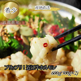 食肉センター直送 数量限定 希少 プリプリ 近江牛ホルモン 300g×2 600g お中元 ギフト 近江牛 ホルモン 和牛 小腸 もつ モツ もつ鍋 具材 モツ鍋 ほるもん 牛 ホルモン焼き 牛ホルモン 焼肉ホルモン 焼肉用牛肉 近江牛肉 国産 近江牛 おいしい 送料無料 プロトン冷凍