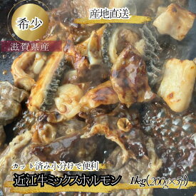 食肉センター直送 数量限定 近江牛 ミックスホルモン 1kg 牛ホルモンミックス 希少 国産ホルモン ギフト 近江牛ホルモン 小腸 ホルモンセット ギアラ アカセン フワ ハチノス 大腸 センマイ 牛肉ホルモン 小分け 肉取り寄せ もつ鍋 モツ 焼肉 高級 ホルモン焼き プロトン冷凍