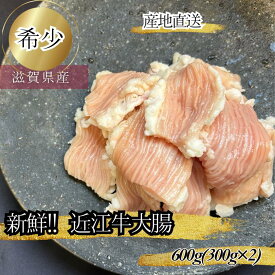 食肉センター直送 近江牛 大腸 シマチョウ 計600g 300g×2p 数量限定 希少 牛大腸 牛シマチョウ 国産 冷凍 小分け ギフト 牛 ホルモン もつ モツ しまちょう 新鮮 国産牛ホルモン 近江牛肉 牛もつ 鍋 ホルモン鍋 ホルモン焼き 焼肉ホルモン 美味しい お肉通販 プロトン冷凍